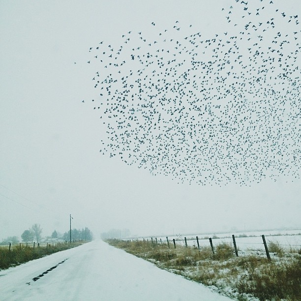 Winter